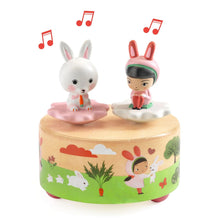Load image into Gallery viewer, Magnetic Musical Box - Garden Melody