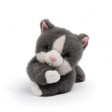 Load image into Gallery viewer, Misty the Grey Cat