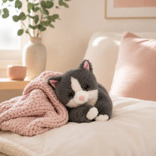 Load image into Gallery viewer, Misty the Grey Cat