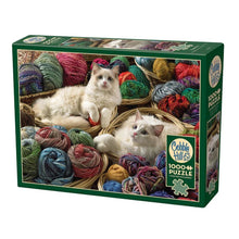 Load image into Gallery viewer, Ragdolls - 1000 pieces