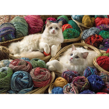 Load image into Gallery viewer, Ragdolls - 1000 pieces