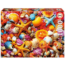 Load image into Gallery viewer, Shell Collage - 1000 pieces