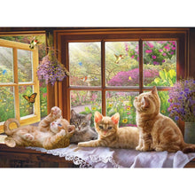Load image into Gallery viewer, Sunbeam - 500 pieces