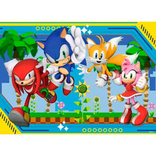 Load image into Gallery viewer, Sonic the Hedgehog - 100 pieces