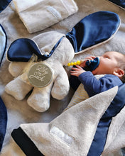 Load image into Gallery viewer, Snuggle Bunny