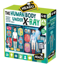 Load image into Gallery viewer, The Human Body under X-Ray