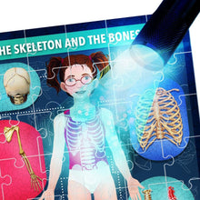 Load image into Gallery viewer, The Human Body under X-Ray