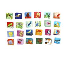 Load image into Gallery viewer, Life On Earth Memory Game