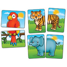 Load image into Gallery viewer, Jungle Heads & Tails