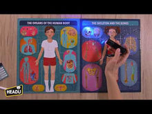 Load and play video in Gallery viewer, The Human Body under X-Ray