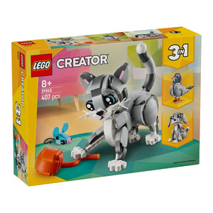 31163: Playful Cat