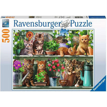 Load image into Gallery viewer, Cats on the Shelf - 500 pieces
