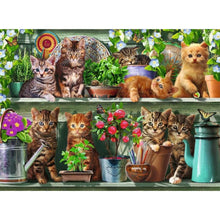 Load image into Gallery viewer, Cats on the Shelf - 500 pieces
