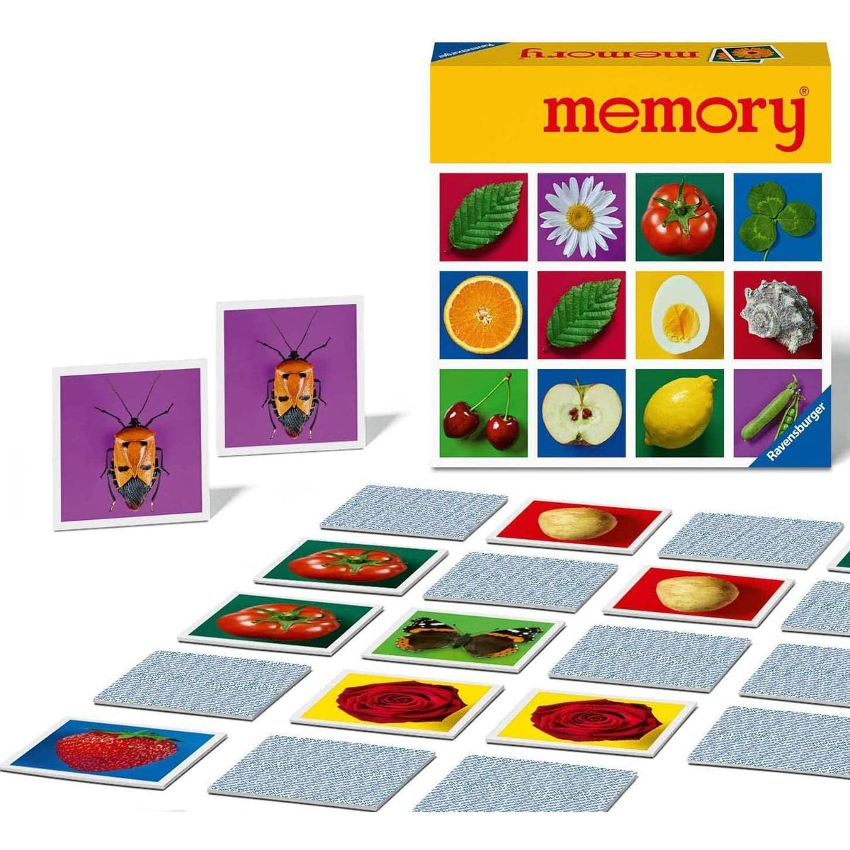 Classic Memory Game – Barefoot Toys