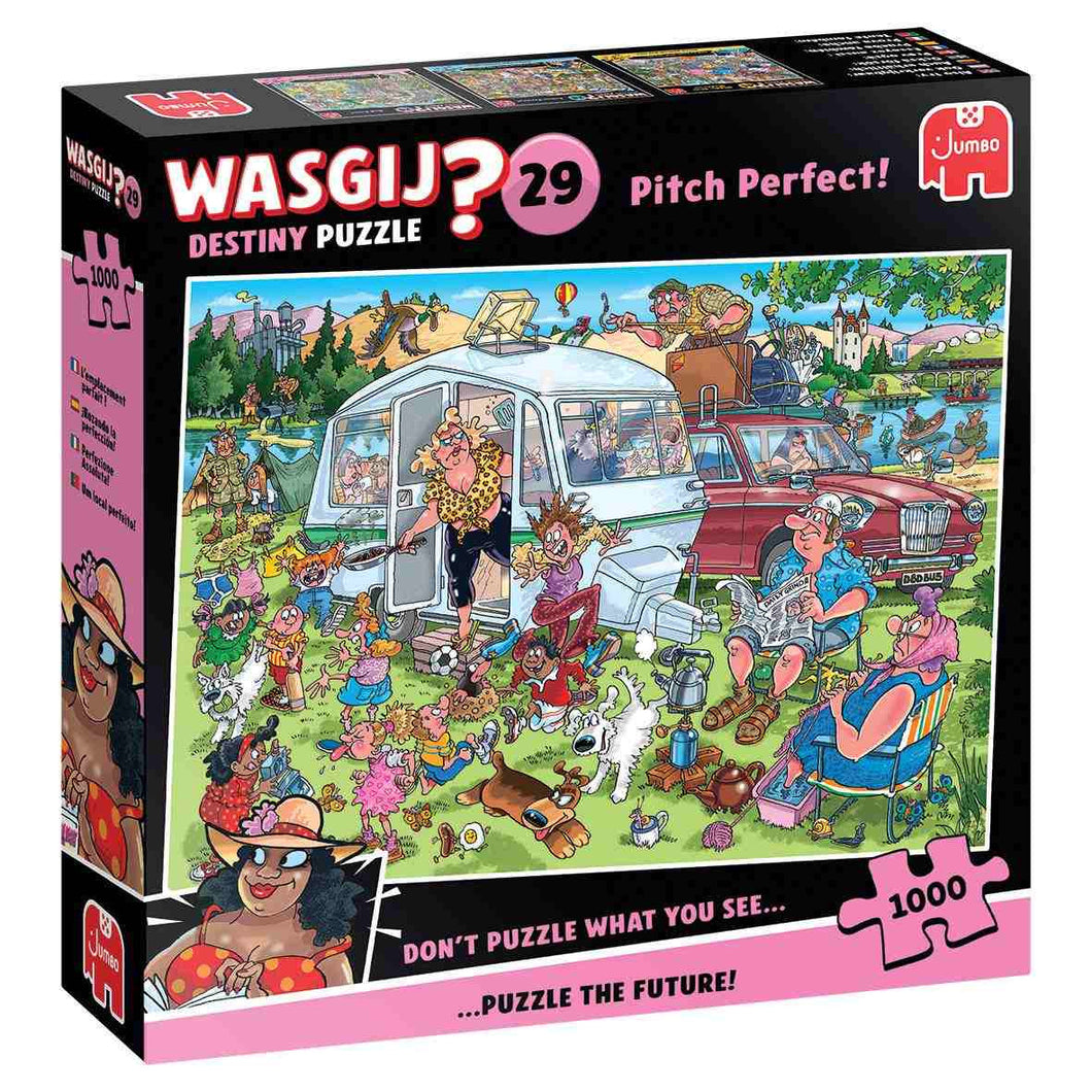 Wasgij Destiny 29: Pitch Perfect - 1000 pieces