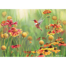 Load image into Gallery viewer, Rufous Humming Bird - 500 pieces
